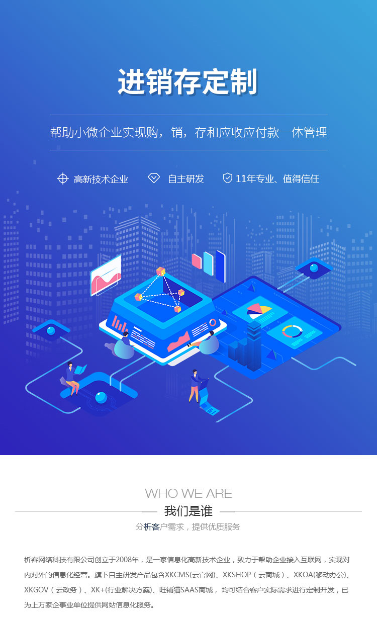 定制化进销存系统：助企业轻松掌控每一个经营环节
